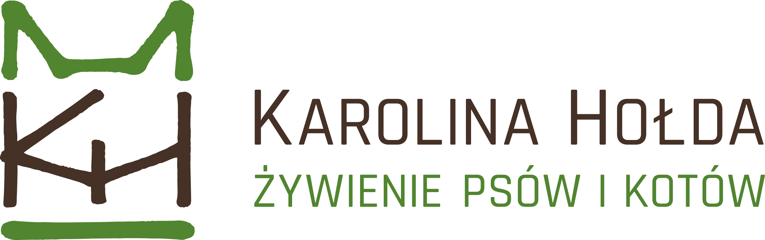 logoPOZIOM